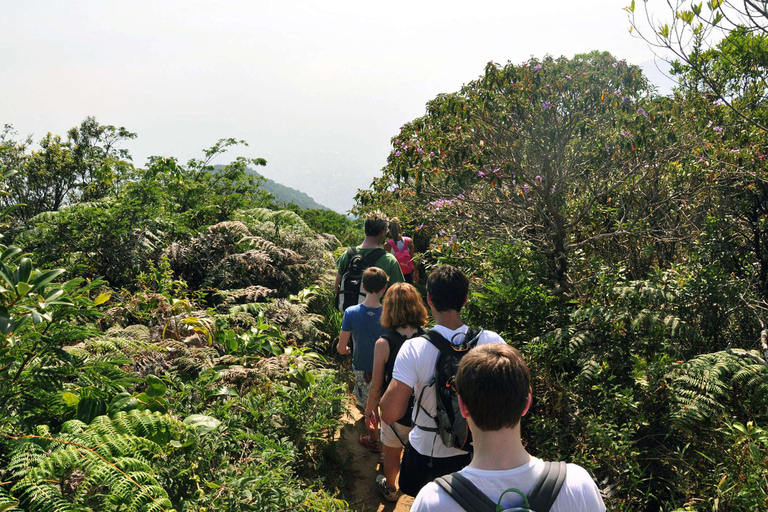 Rio de Janeiro: Zwiedzanie z przewodnikiem do Parku Narodowego Tijuca