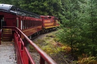 Comté de Mendocino, Skunk Train Wolf Tir Turn Train Ride - Housity
