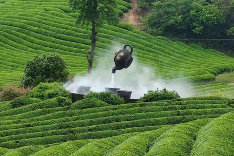 Shanghai: Shaoxing Tea Hills & Quiet Ancient Trail Day Trip