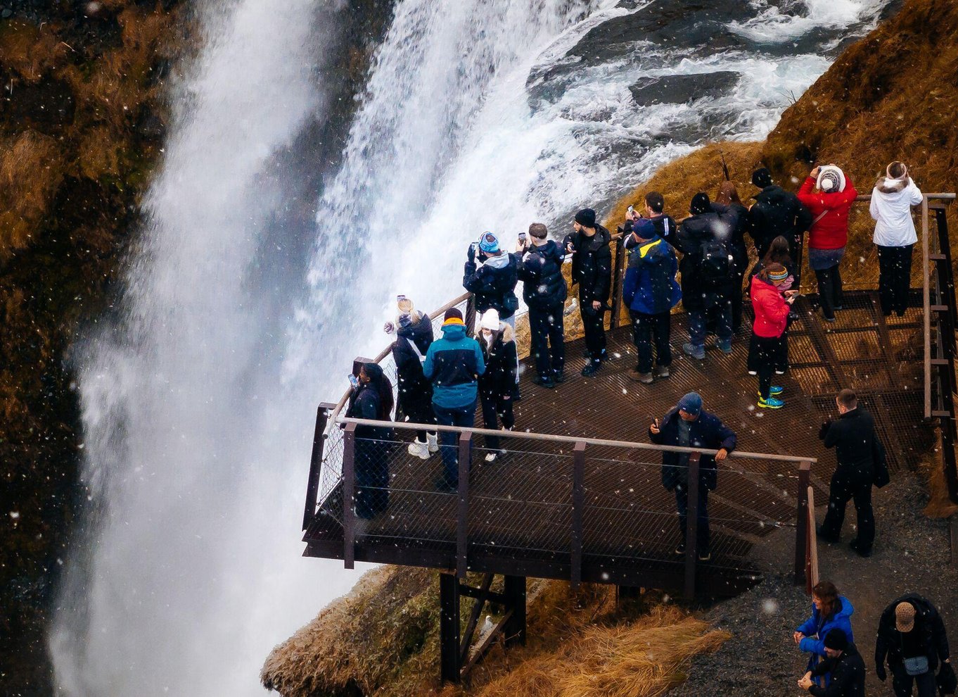 Island: Heldagstur til sydkysten, den sorte strand og vandfald