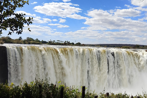 Victoria falls Rainforest: Guided Sunrise, day & sunset Tour