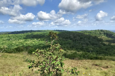 Mombasa Safari: Shimba Hills, Falls & Photography