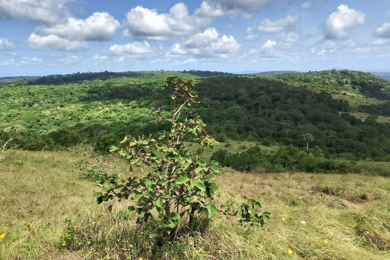 Mombasa Safari: Shimba Hills, Falls & Photography