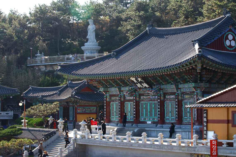(Guaranteed Return) Busan City Tour for Ulsan Cruise Guests