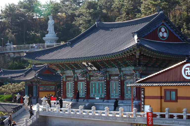 (Guaranteed Return) Busan City Tour for Ulsan Cruise Guests