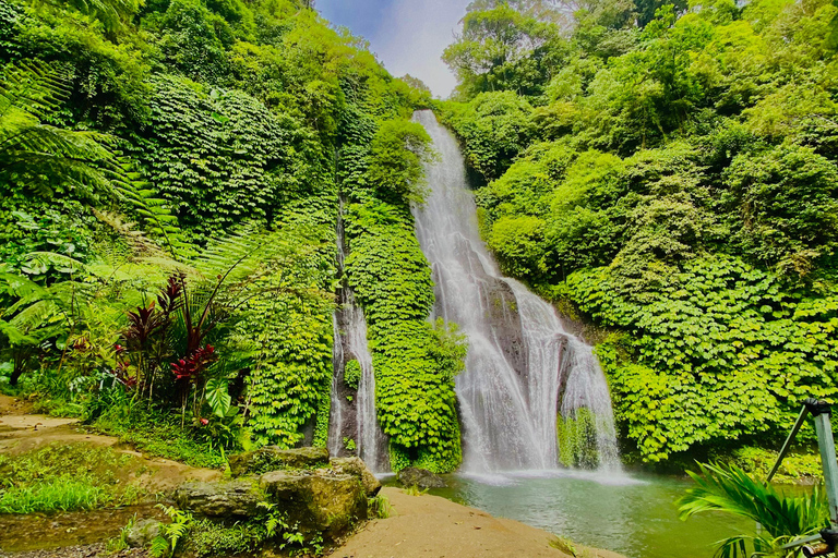 Bali: Celukan Bawang Port Shore Excursion Day Tour Trips 2