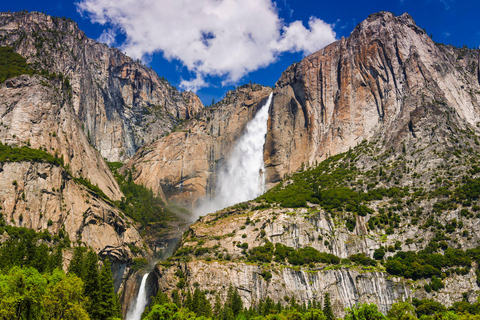 Los Angeles : visite des parcs nationaux de Yosemite et de Sequoia