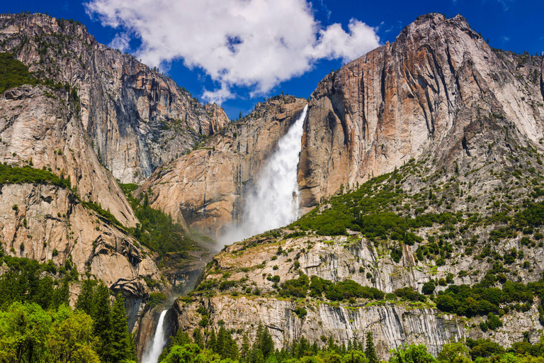 Los Angeles: tur till nationalparkerna Yosemite och Sequoia