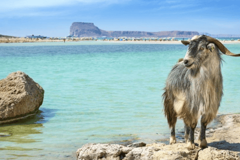 Chania Luxury Jeep Safaris: Balos Beach. A Lagoon For Bliss.3-seats Jeep/SUV