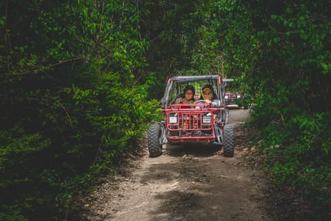 Puerto Morelos: ATV or dune buggy adventure with cenotes.