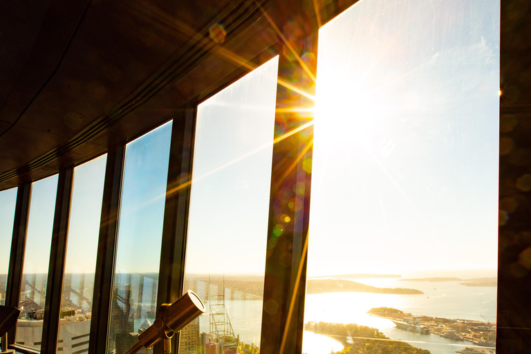 Sydney Tower Eye: Eingang mit AussichtsplattformSydney Tower Eye - Buchung für heute