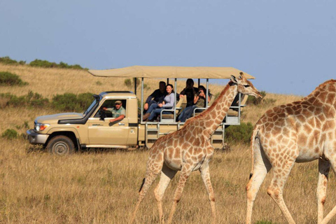 Safari africain de 3 jours dans le parc national de MikumiVeuillez vous rendre au lieu de rendez-vous « Gare SGR de Dar es Salaam ».