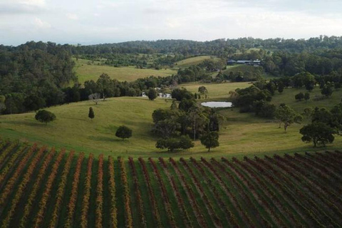 Brisbane: Picknick i vinodlingarna