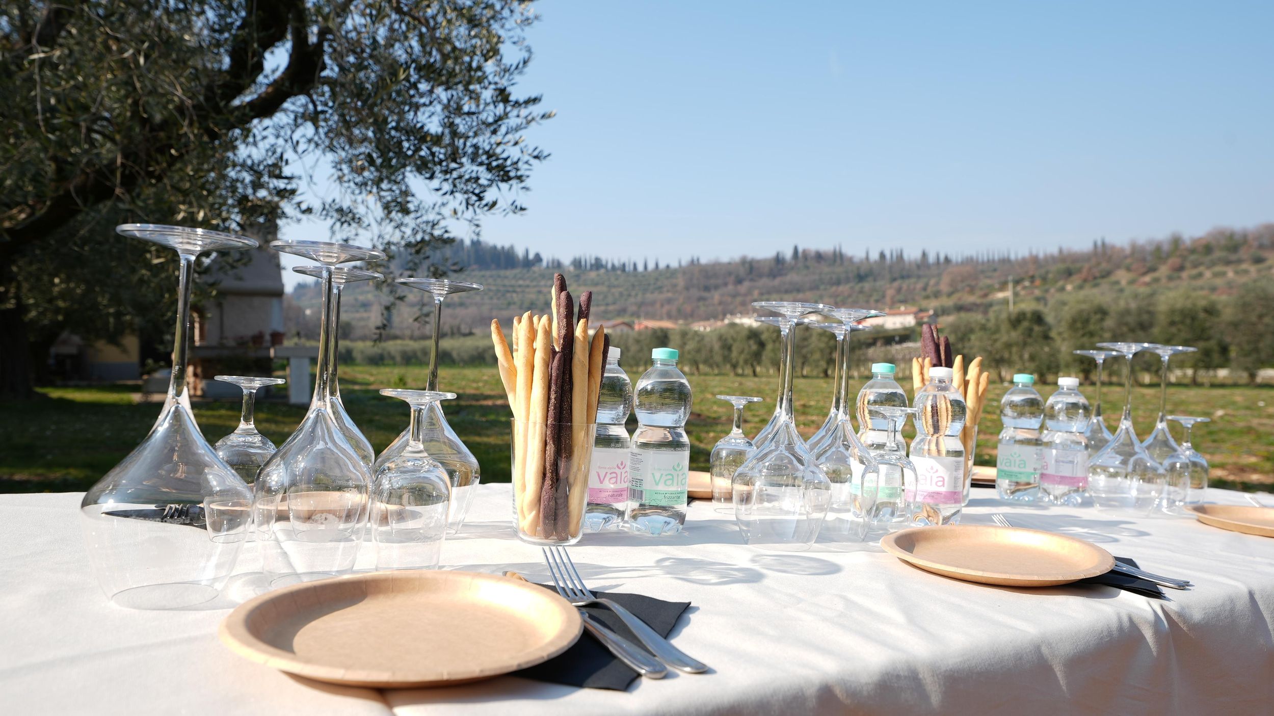 Bardolino: Wein- und Essensverkostung in den Gardaseehügeln