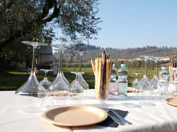 Bardolino: Wein- und Essensverkostung in den Gardaseehügeln
