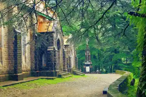 Mcleodganj Nature Trek (3 Hours Guided Walking Tour)