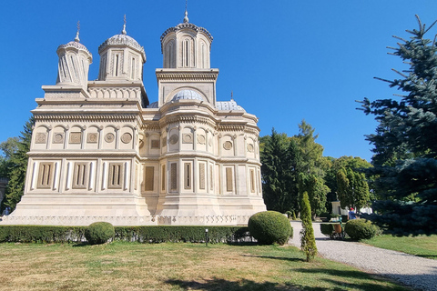 From Bucharest: Private Tour Transfagarasan & Dracula Fort