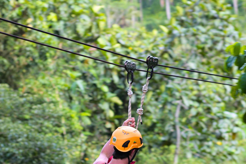 Alas Tirta: Bali Swing, Zipline & Hidden Waterfall - Ubud One Swing Package