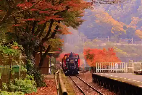 Kyoto: Sagano-togtur og guidet dagstur