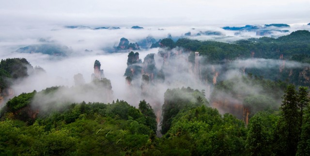Visit One Day Zhangjiajie National Forest Park Package Tour in Zhangjiajie, Chine