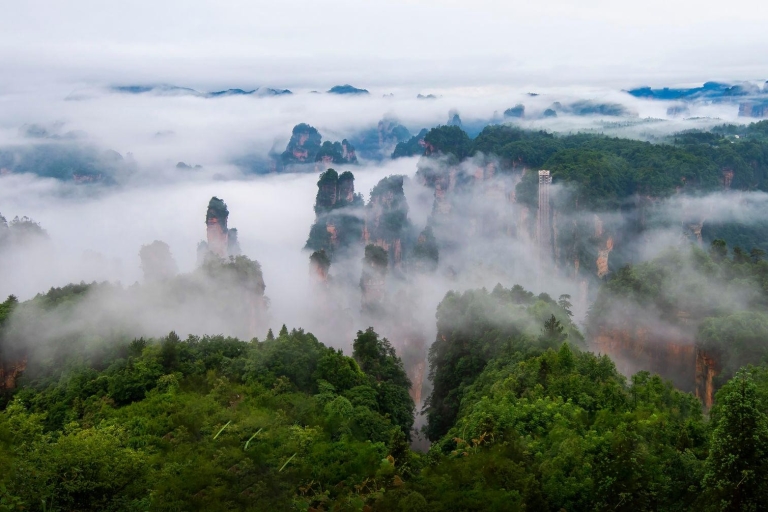 One Day Zhangjiajie National Forest Park Package Tour