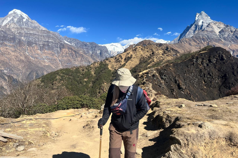 Mardi Himal Trek