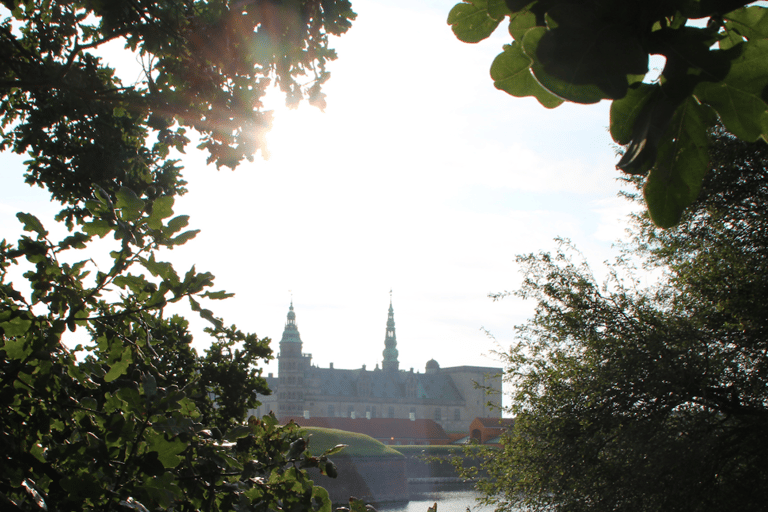 Helsingør: Toegangsbewijs kasteel Kronborg