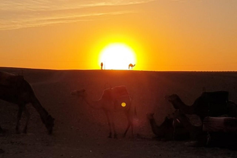 Marrakech: Agafay Desert Tour with Dinner, Camel Ride &amp; Show