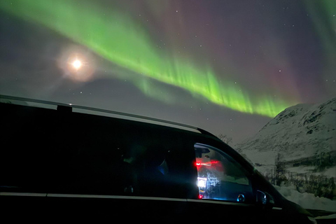 Senja: Northern Lights Snowshoe Hike with Guide & Snacks