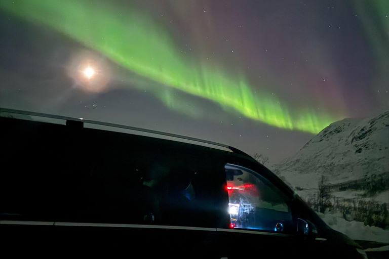 Senja: Northern Lights Snowshoe Hike with Guide & Snacks