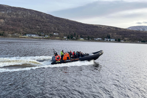 Rib-äventyr i Loch Linnhe (NYHET för 2024)