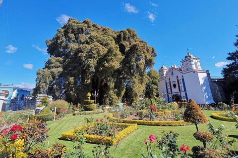 Oaxaca: Rundtur till Tule Tree, Teotitlán, Mitla och Hierve el Agua