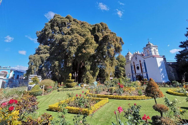 Oaxaca: Rundtur till Tule Tree, Teotitlán, Mitla och Hierve el Agua