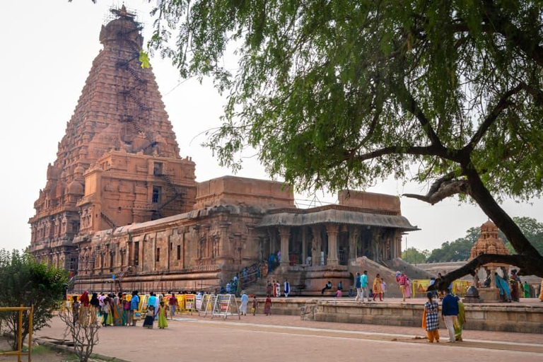 From Chennai: 6-Day Tamil Nadu Temple Tour with Guide