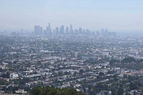 Los Angeles: Venice Beach, Beverly Hills, & Hollywood Tour