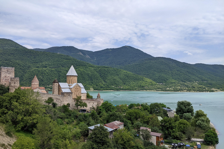 Tbilisi: Kazbegi, Gudauri, Ananuri - Private guided tour
