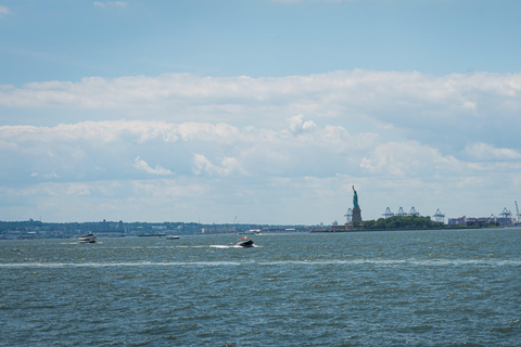 NYC: Half-Day Luxury Bus Tour with One World Access