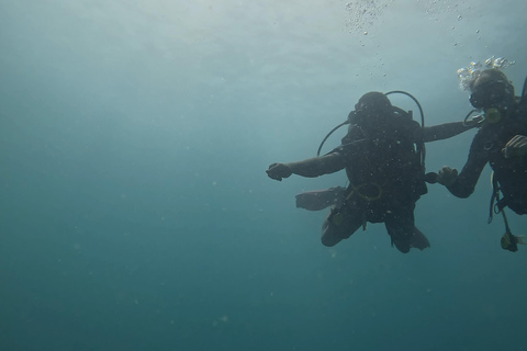 DAR ES SALAAM: CERTIFIED SCUBA DIVERS FUN TRIP