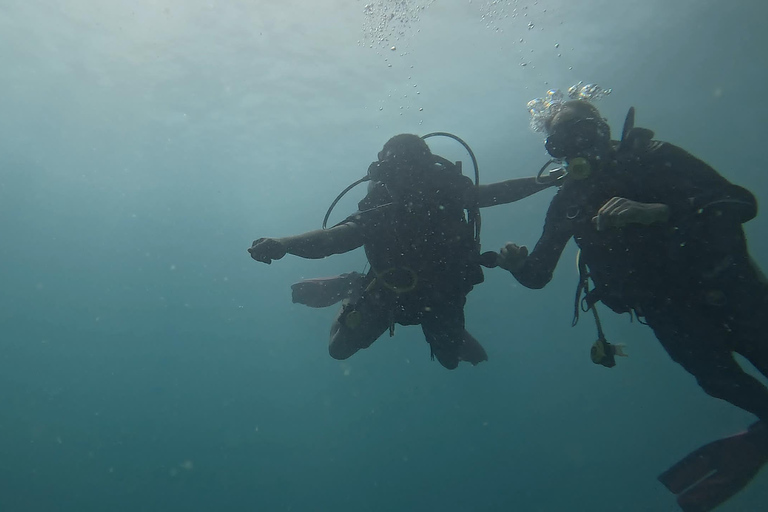 DAR ES SALAAM: CERTIFIED SCUBA DIVERS FUN TRIP