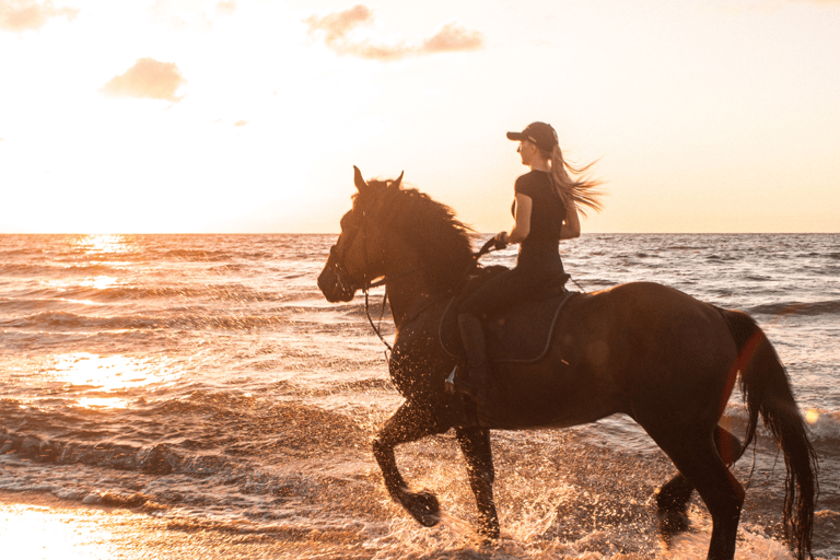 Gili Trawangan: Passeggiata a cavallo sulla spiaggia con trasferimento in hotel