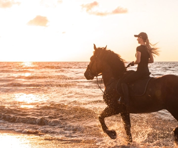 Gili Trawangan: Beach Horseback Riding with Pickup Hotel