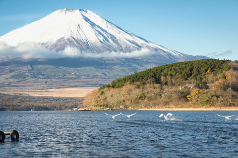 Tokyo: Mt. Fuji & Lake Kawaguchi Small Group Tour - 6 Spots Hotel Pickup Option