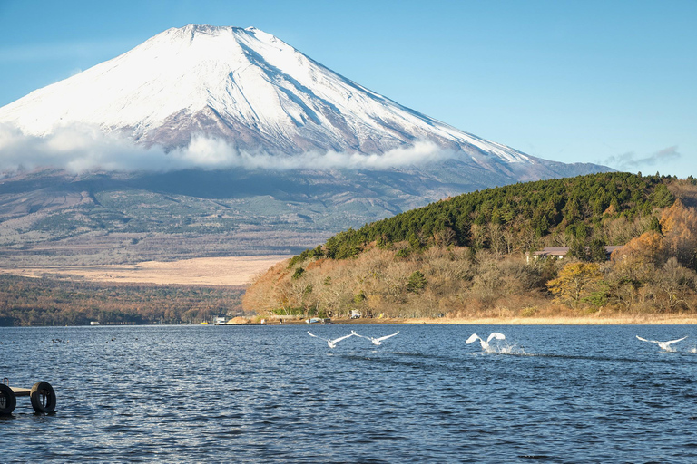 Tokyo: Mt. Fuji & Lake Kawaguchi Small Group Tour - 6 Spots Hotel Pickup Option