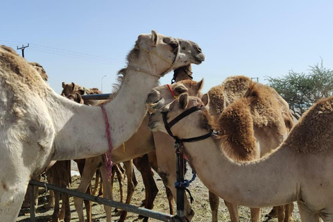 Muscat: Visit Sinaw Market, Izki Village, & Jarnan Cave Tour