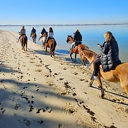 Beach horseback riding in group | GetYourGuide