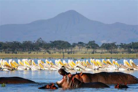 7-Day Kenya Classic Safari