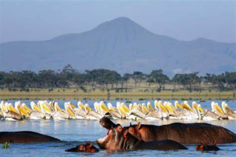 7-Day Kenya Classic Safari