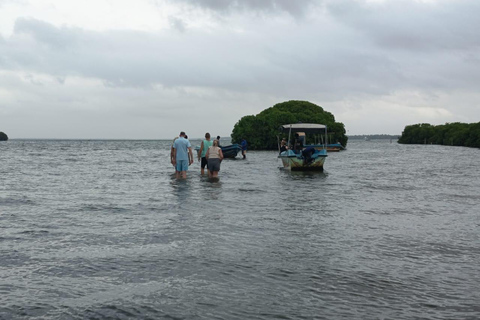 From Negombo: Boat Tour of Negombo Lagoon