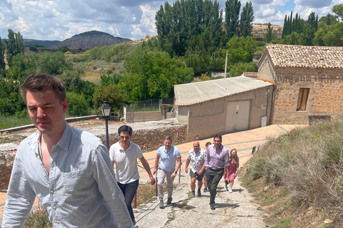 From Madrid: Cooking Class by a Castle in the Olive Groves