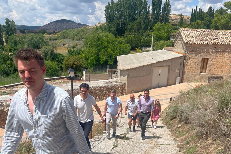 From Madrid: Cooking Class by a Castle in the Olive Groves